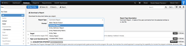 Selecting the Comment Report in Database View