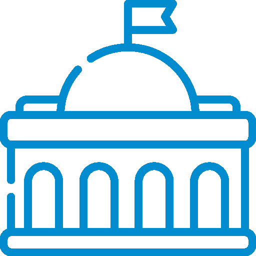 010-government